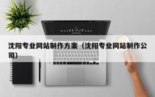 万宁沈阳专业网站制作方案（沈阳专业网站制作公司）